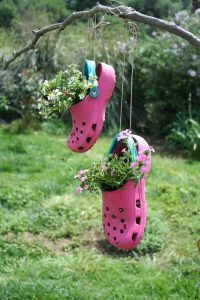 Old shoes make a fun hanging display.