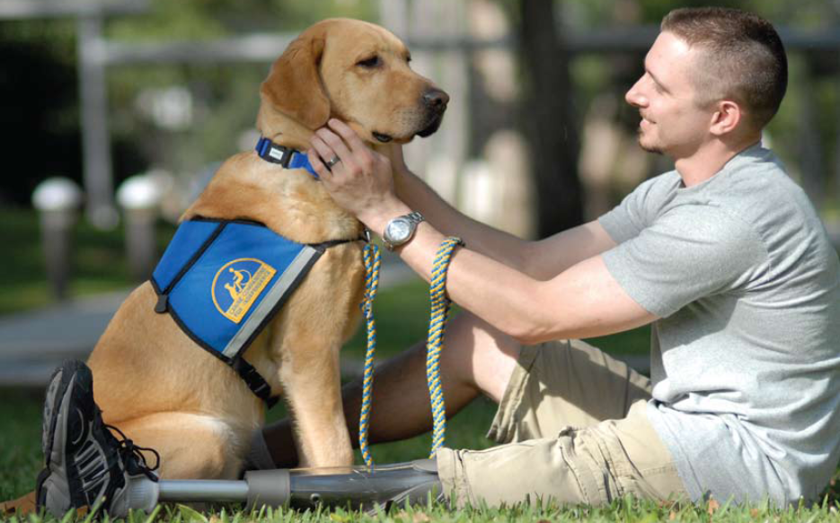 Service Dogs