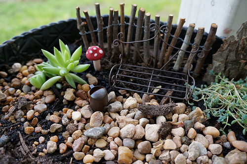 Tiny details such as these  mini toadstools will bring your tray garden to life.