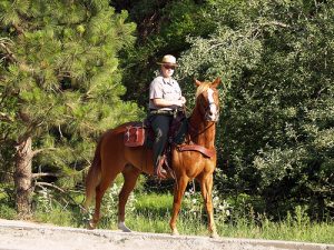 National Park Ranger