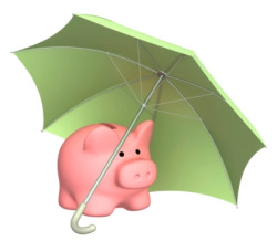 pigbrolly