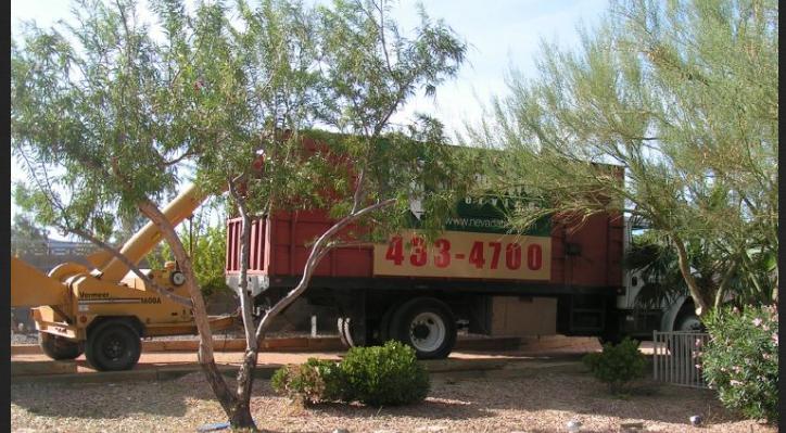 tree trimming las vegas