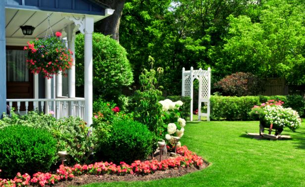 Keep Your Yard Looking Fabulous: 5 Ways To Maintain Your Yard