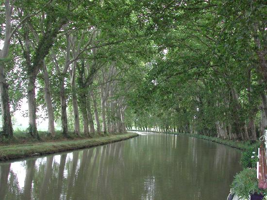 the-canal-du-midi