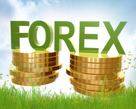 Forex: An Investment For Anyone?
