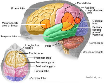 6 Brain Tumor "Risk Factors" You Should Be Aware Of