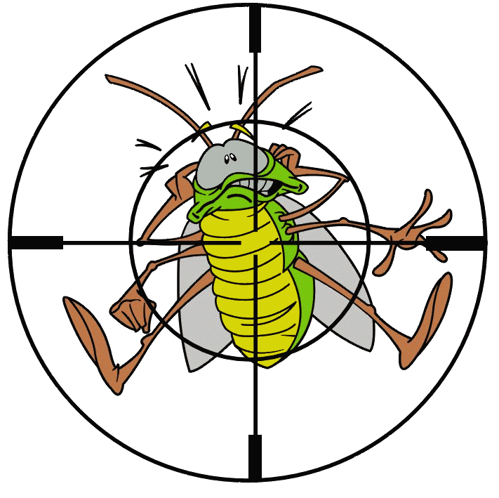 Keep Pests Out With Pest Control Techniques and Tools