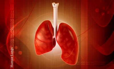 List Of Things That You Should Do For Your Lungs Health