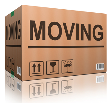 5 Reasons You Should Use A Professional Mover