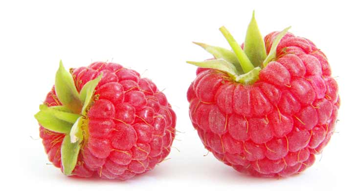 How To Choose Your Raspberry Ketone Supplement