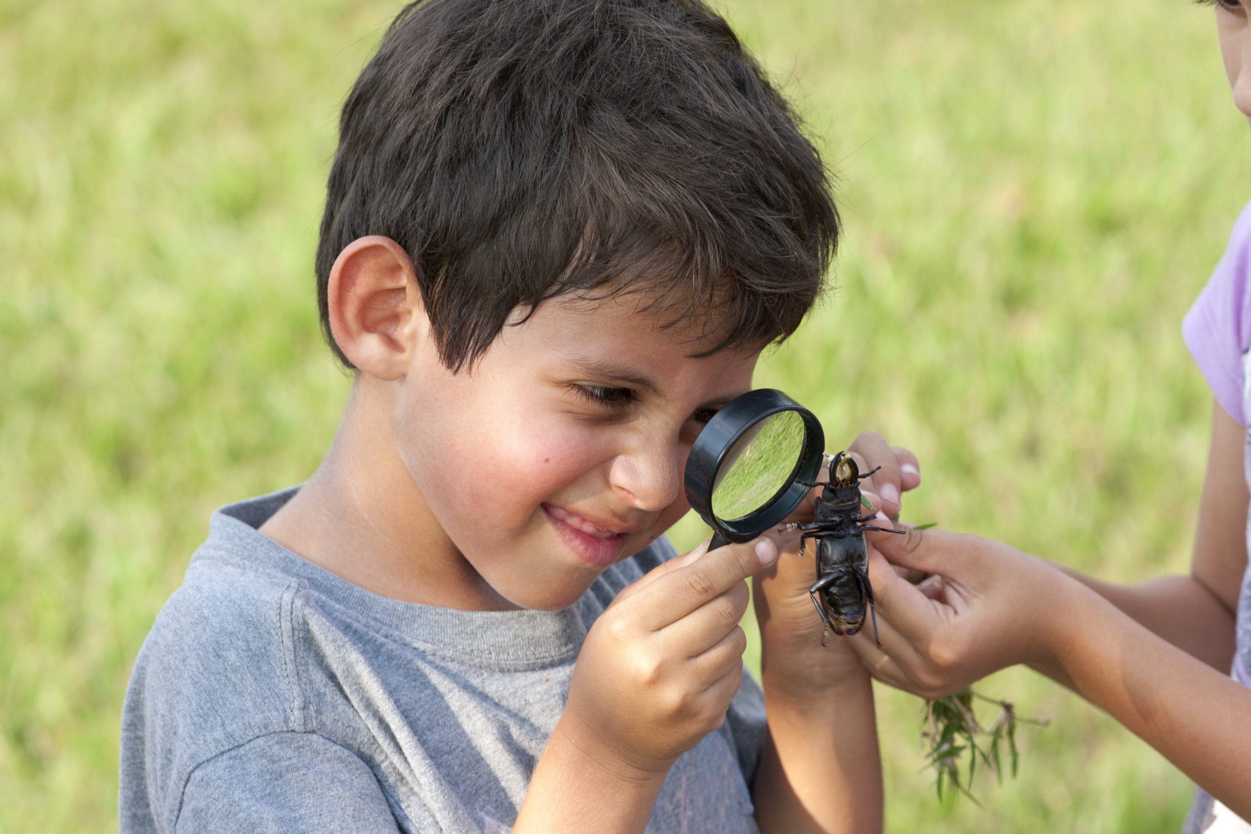 Science Experiments For Kids