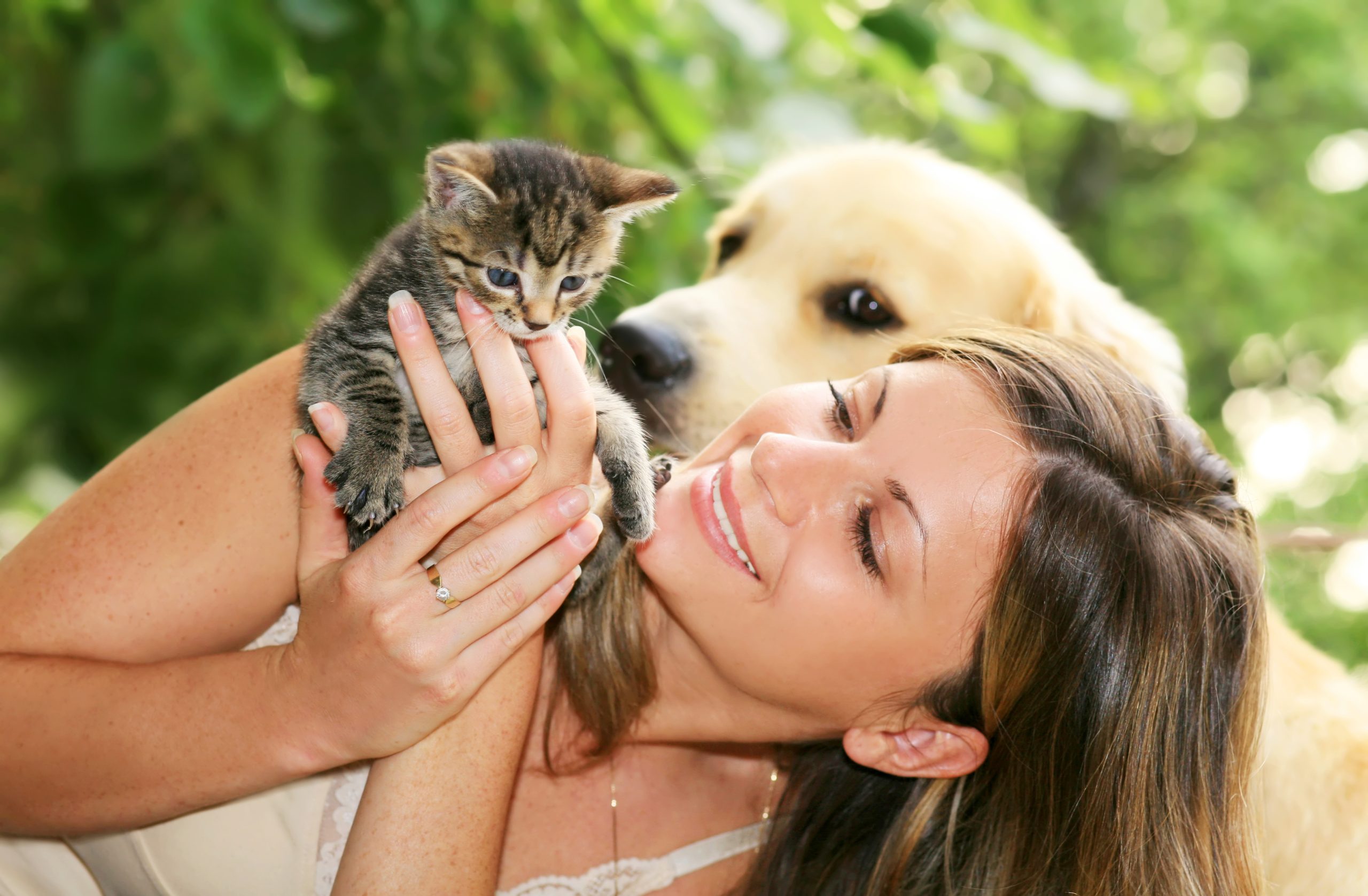 4 Steps For Taking Care Of Your Pets