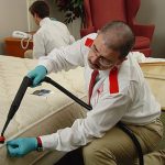 5 Tips Can Help You Prevent and Treat Bed Bug Invasions