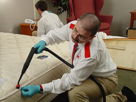 5 Tips Can Help You Prevent and Treat Bed Bug Invasions