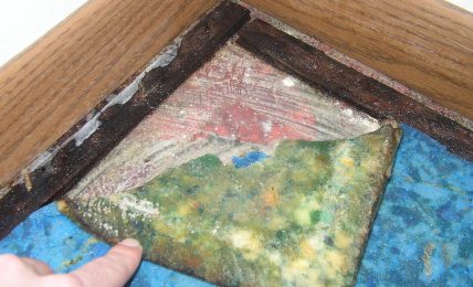 New Ways To Prevent Mold and Mildew