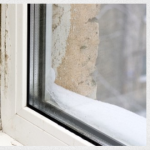 What To Do If You Think Your Home Has A Mold Problem