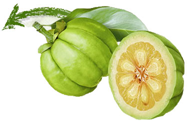 Lose Weight With Garcinia – Gain A Confident And Beautiful Personality