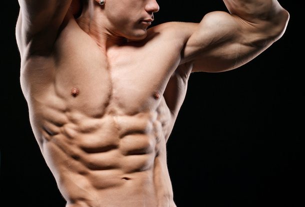 Source For Having A Structured Muscular Body