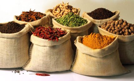 India's Golden Ingredients
