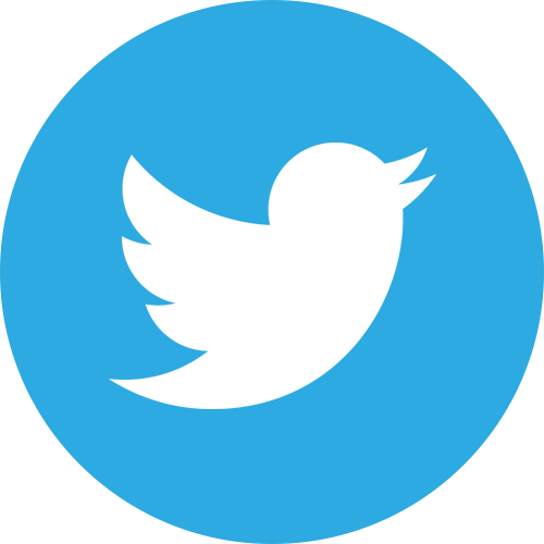 Twitter bird image