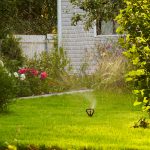 Avoiding Bringing Your Garden Into Your Home