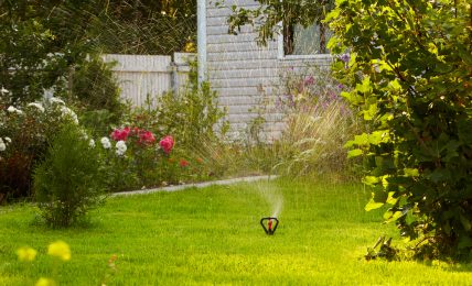 Avoiding Bringing Your Garden Into Your Home