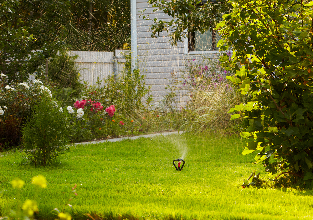 Avoiding Bringing Your Garden Into Your Home