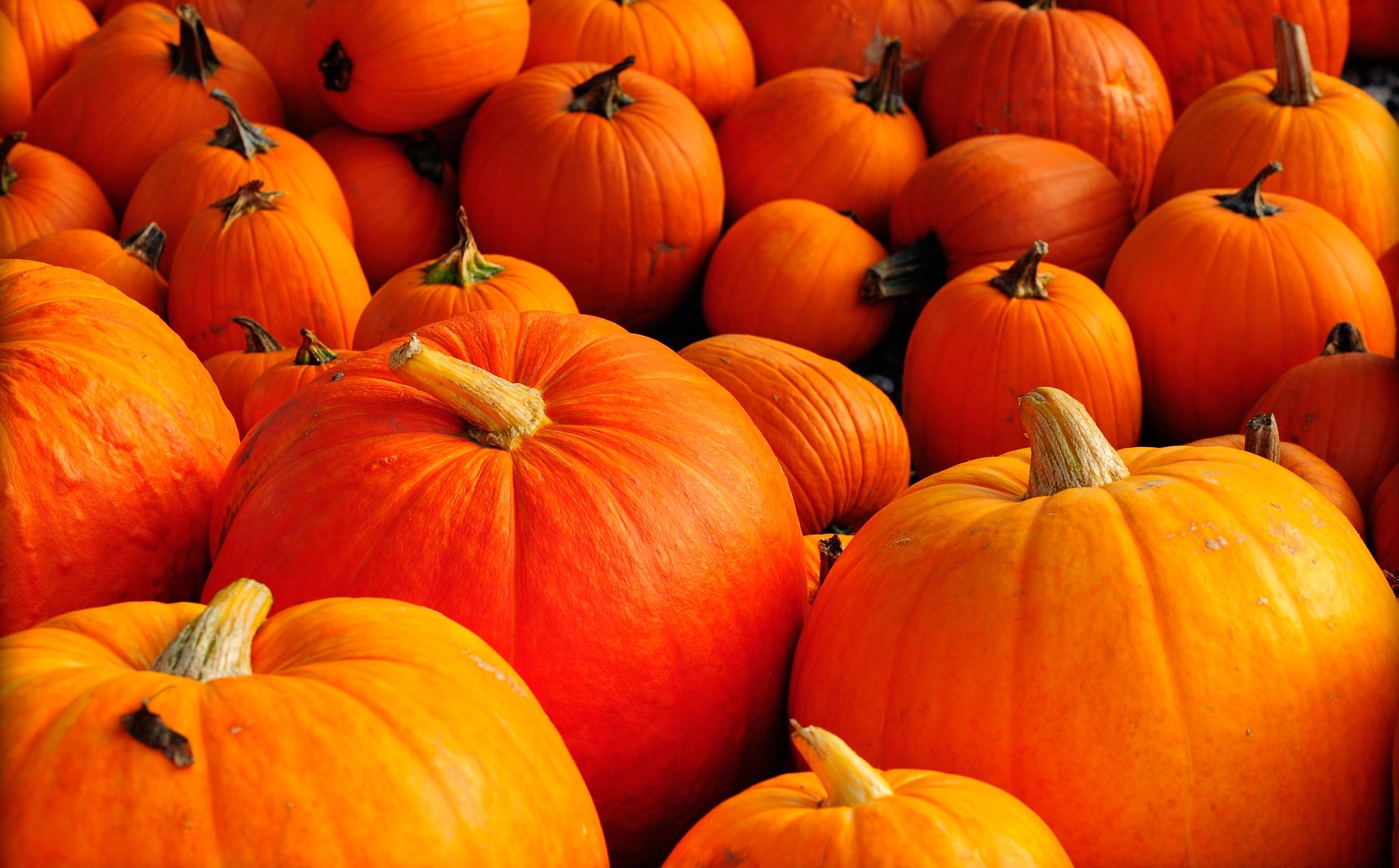 Why Pumpkin Is A Versatile Health Food Superstar