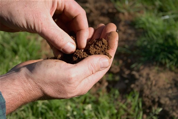 How To Analyze Our Soil