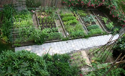 Choosing the Best Container for Your Vegetable Gardening