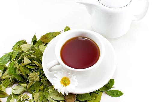 The Many Benefits Of Organic Tea