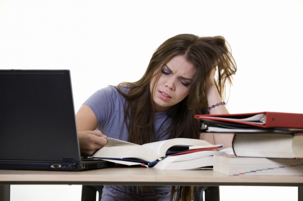 Personal Experience With Essay Writing Services