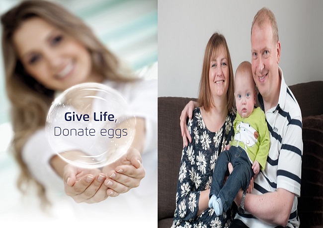 Why Women Decide To Donate Eggs