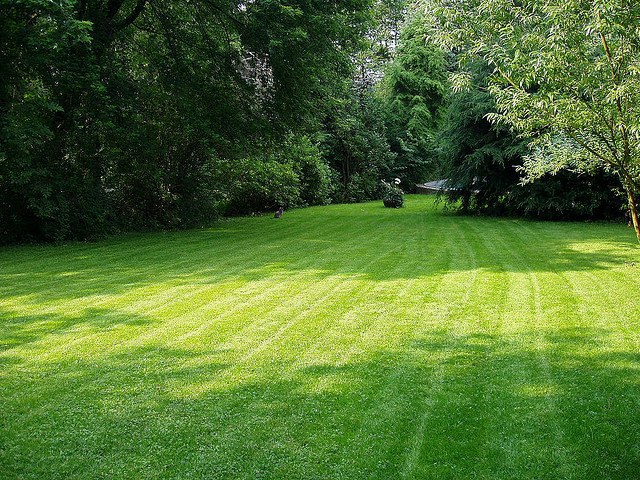 Essential Tips For A Greener Lawn