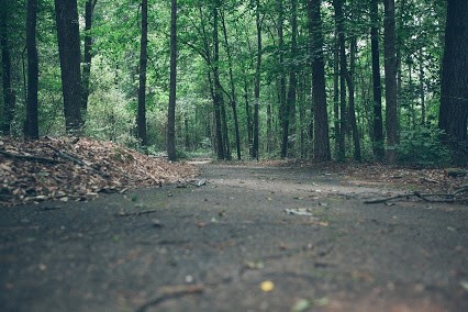 Hiking Trails