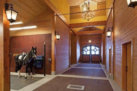 4 Reasons Why Good Quality Stables Make Horses Happier