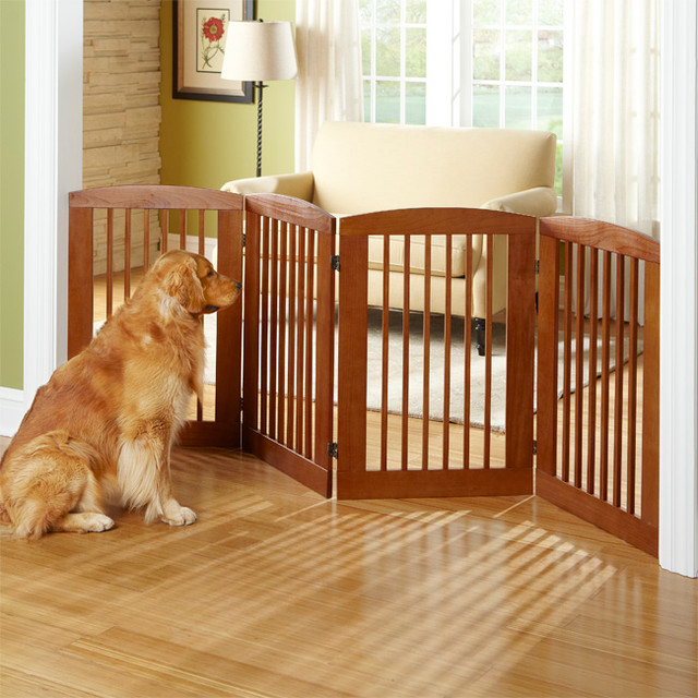 Dog Proofing A Home