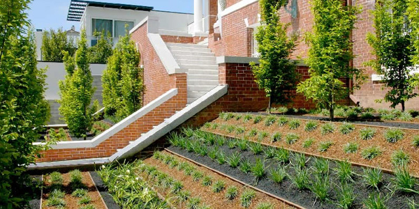 5 Ways Professional Landscaping Can Improve Your NJ Home