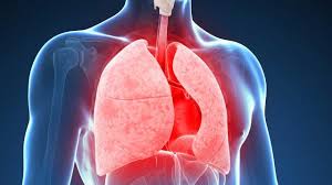 Can Bioidentical Hormones Treat COPD?