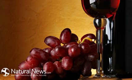 All You Need To Know About Resveratrol’s Health Benefits and Its Awesome Effects