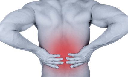 The Truth About Your Lower Back Pain Management