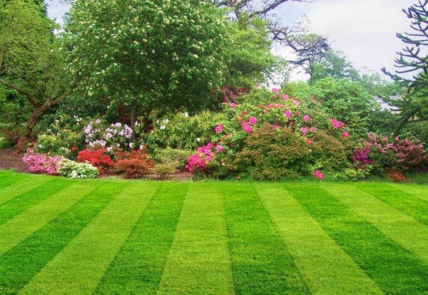 Planning For Landscape: Know What Kind Landscape Services You Require