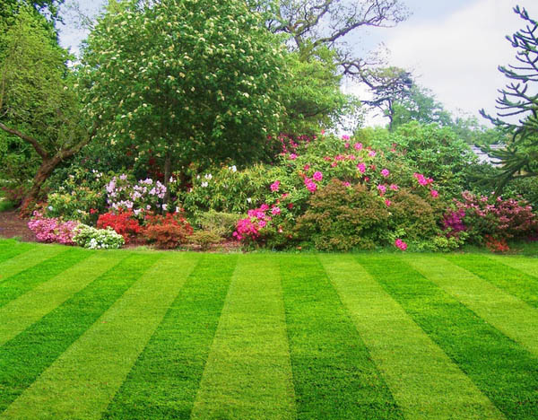 Planning For Landscape: Know What Kind Landscape Services You Require