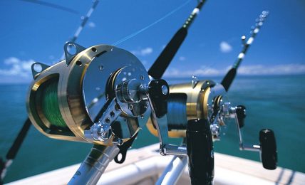 Saltwater Fishing Reels - A Way To Select