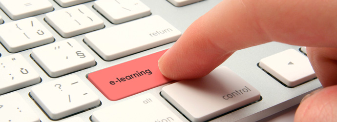 Flexible Online Learning – Offering Innumerable Advantages