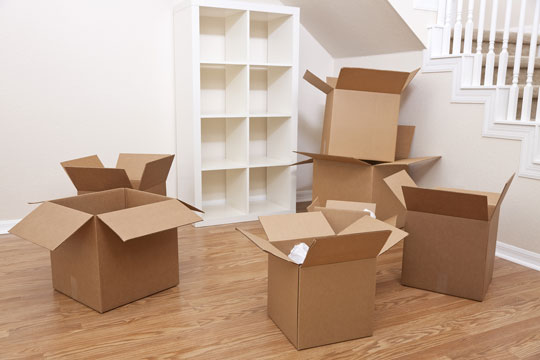 Choosing Your House Removals Man