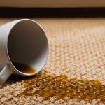 Effective Carpet Cleaning For Stain Removal