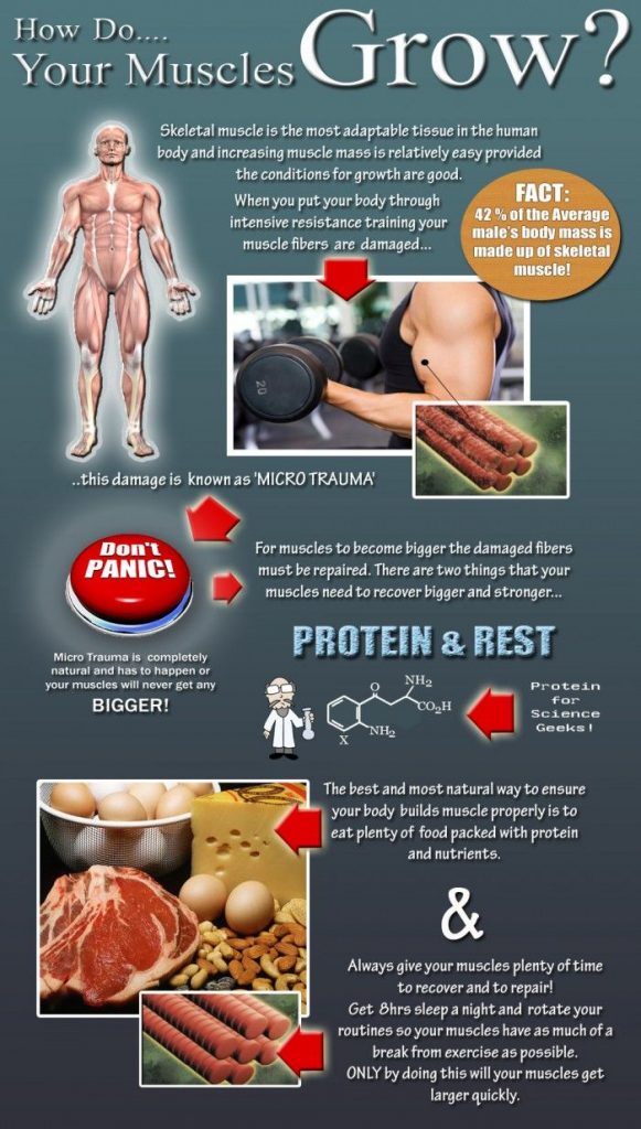 Dealing With A Plateau In Muscle Growth