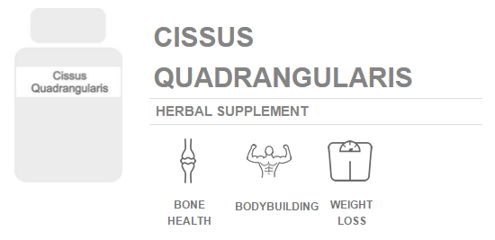 Learn More About Cissus Quadrangularis