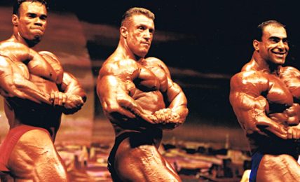Steroids Are The Perfect Drugs For Body Building